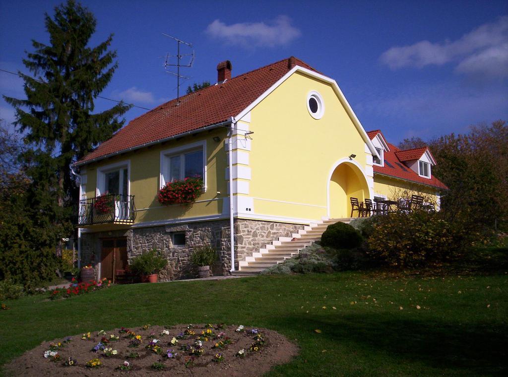 Kondics Apartmanhaz Sarvar